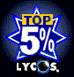 Lycos Top 5% Award